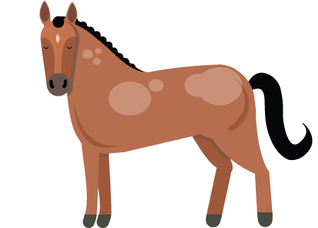 Improving my Ilustrator&nbsp;Skills